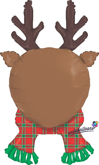 Rudolph The Red Nosed Reindeer 3D 35