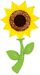 Betallic Sunflower 60″ Balloon