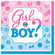 Boy or Girl? Gender Reveal Beverage Napkins (16 count)