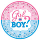 Boy or Girl? Gender Reveal Paper Plates 10.5″ (8 count)