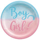 Boy or Girl? Gender Reveal Paper Plates (8 count)