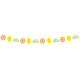 Citrus Fruit Garland