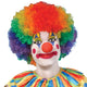 Clown Afro Wig