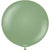 Eucalyptus 24″ Latex Balloons by Kalisan from Instaballoons