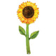 Globo Fresh Pick Acuarela Girasol 60″