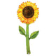 Fresh Pick Watercolor Sunflower 60″ Balloon
