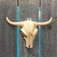 Steer Head Wall Decoration