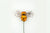 Golden Bell Bumble Bees 1″ (24 count)