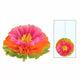 Kit de decoración de flores esponjosas de hibisco 16″