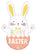 Hoppy Easter Bunny 32″ Foil Balloon by Anagram from Instaballoons