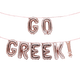 ¡VAYA GRIEGO! Conjunto de pancartas de globos de fraternidad de hermandad griega