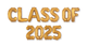 Conjunto de pancartas de globos CLASE DE 2025