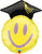 Mini Grad Smile (requires heat-sealing) 14″ Foil Balloon by Qualatex from Instaballoons