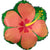 Orange Hibiscus 18″ Foil Balloon by Anagram from Instaballoons