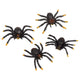 Plastic Spider Favors (36 count)