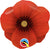 Pretty Poppy Minishape (requires heat-sealing) 14″ Foil Balloon by Qualatex from Instaballoons