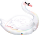Graceful Swan 35″