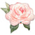 Qualatex Mylar & Foil Pink Watercolor Rose 36″ Balloon