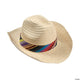 Sarape Mexican Hat