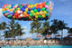 Balloon Drop Pre-Strung Net Kit 15' X 4.5'