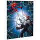 Kit de decoración de pared de Spider-Man 59″ x 65″