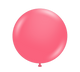 Taffy 24″ Latex Balloons (25 count)