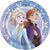 Unique Party Supplies Frozen 2 9in Plates 9″ (8 count)