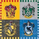 Harry Potter Beverage Napkins (16 count)