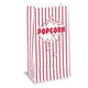 Popcorn Bags (10 count)