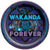 Wakanda Forever Black Panther Plates 9″ by Amscan from Instaballoons
